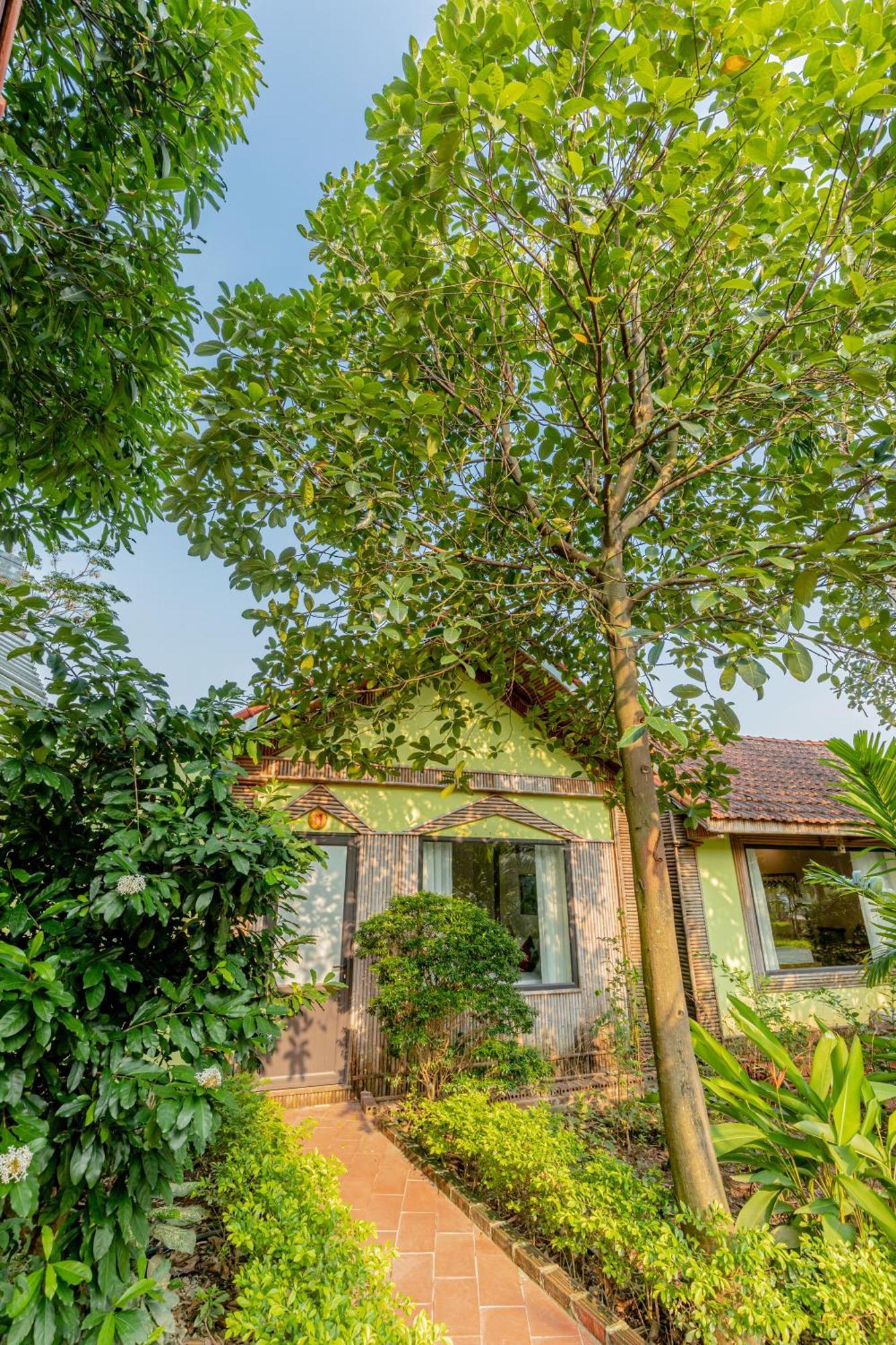 Tam Coc Green Garden Bungalow Нин Бин Екстериор снимка