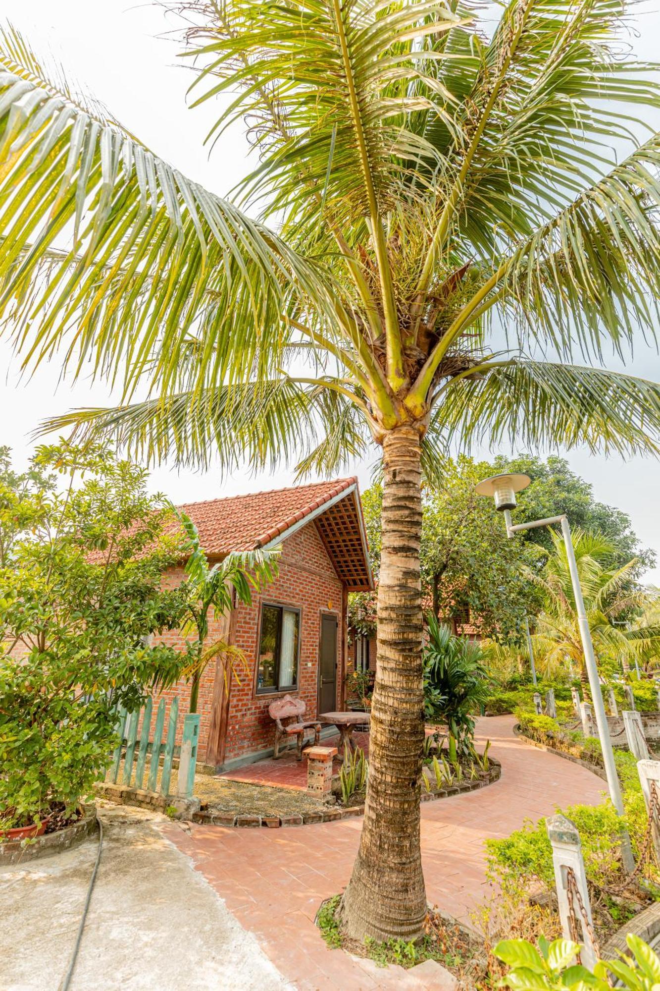 Tam Coc Green Garden Bungalow Нин Бин Екстериор снимка
