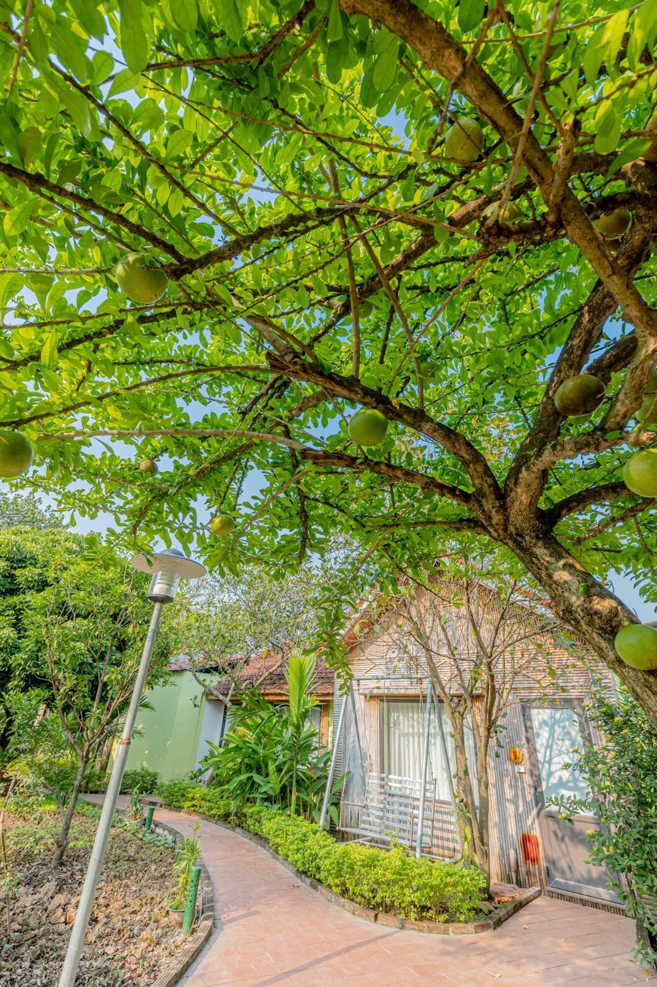 Tam Coc Green Garden Bungalow Нин Бин Екстериор снимка